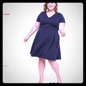 PLUM’ S THE WORD! Lane Bryant Dress Sz 14/16